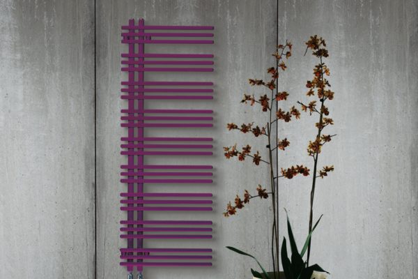 Yucca_asymmetric